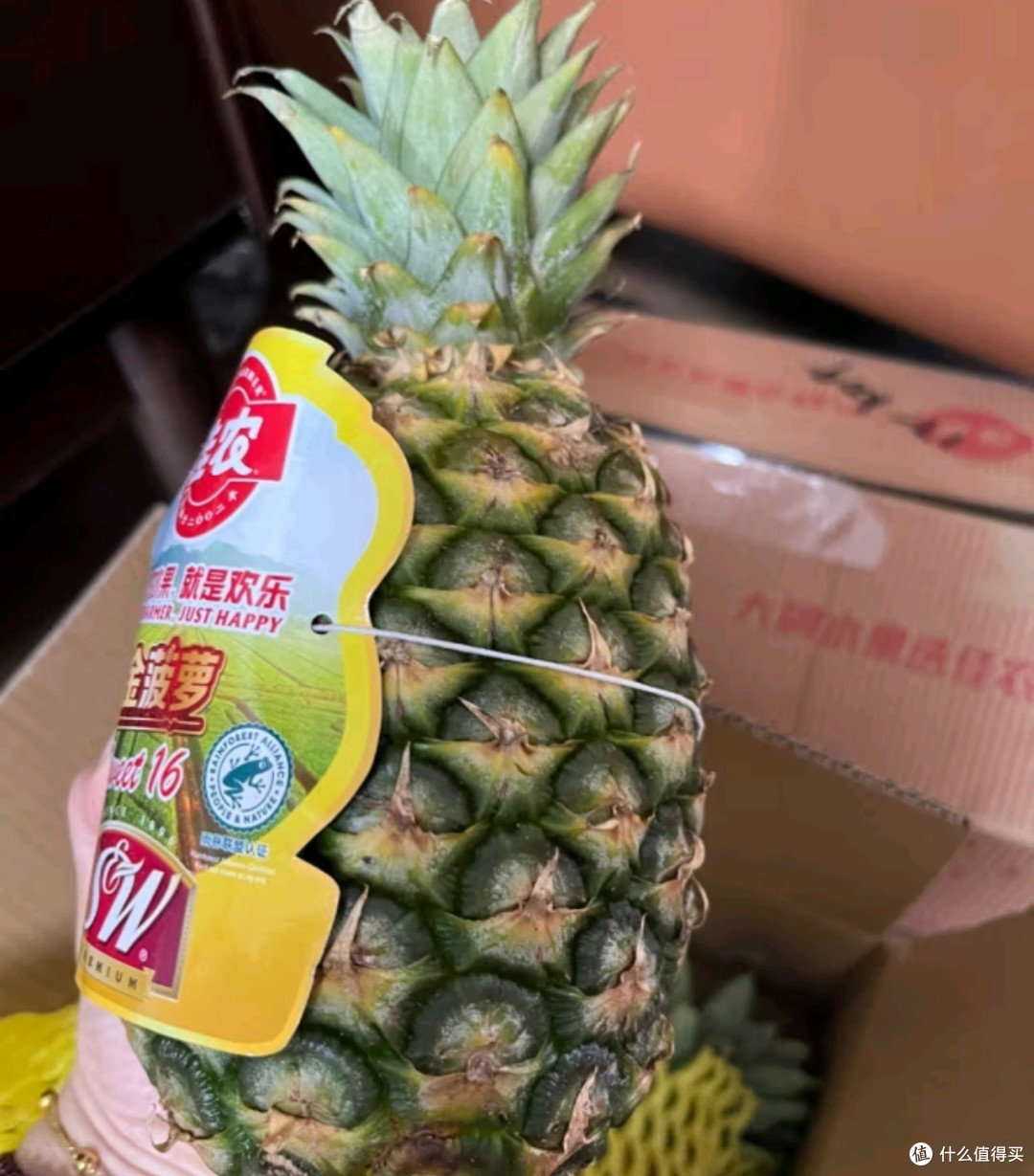 佳农菲律宾进口菠萝:甜蜜滋味的异国风情