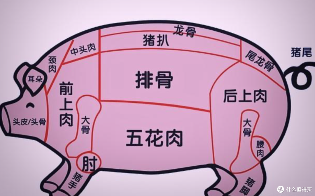 🐷猪肉大揭秘！各部分结构深度解析😜_猪肉_什么值得买
