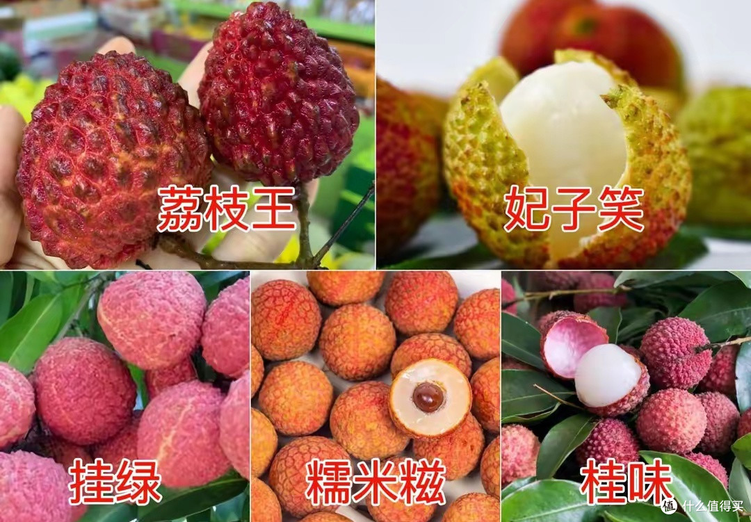 荔枝这么多品种,说说你最喜欢哪种呢?