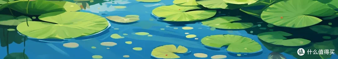 宝优动态 | 夏至已至，究竟什么是夏天的关键词