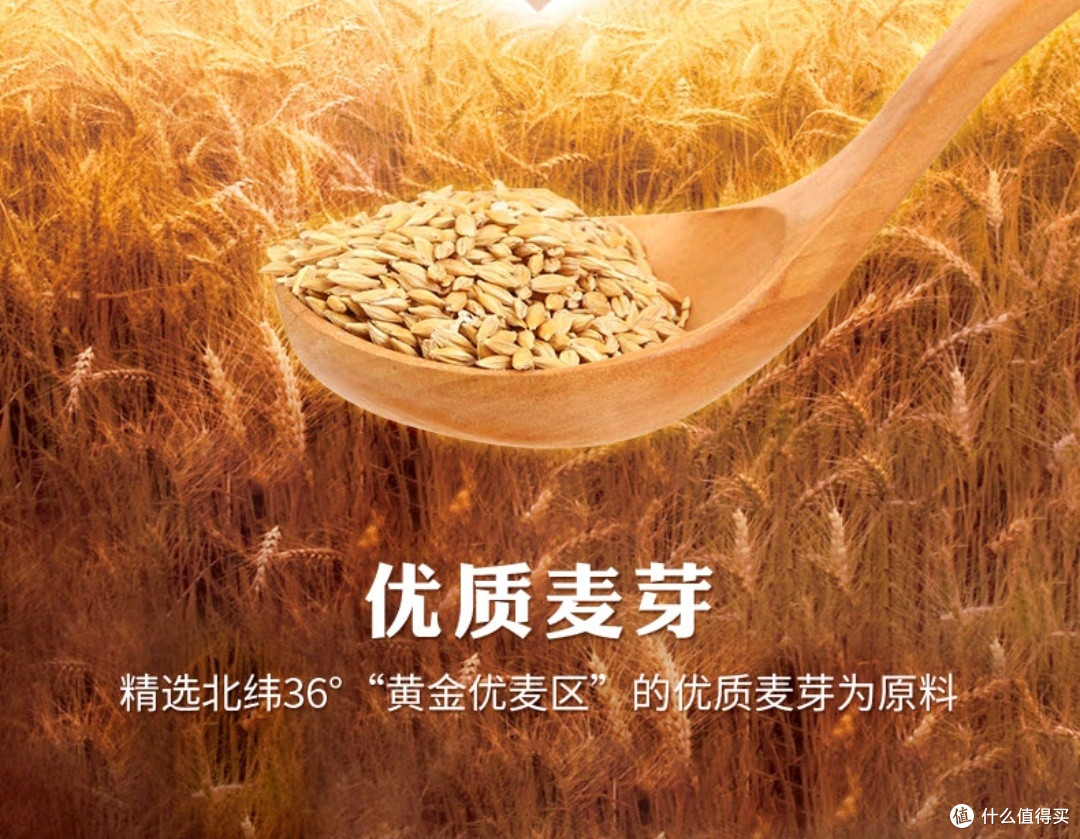 青岛啤酒(TsingTao)精酿白啤:麦香四溢,夏日畅饮之选!