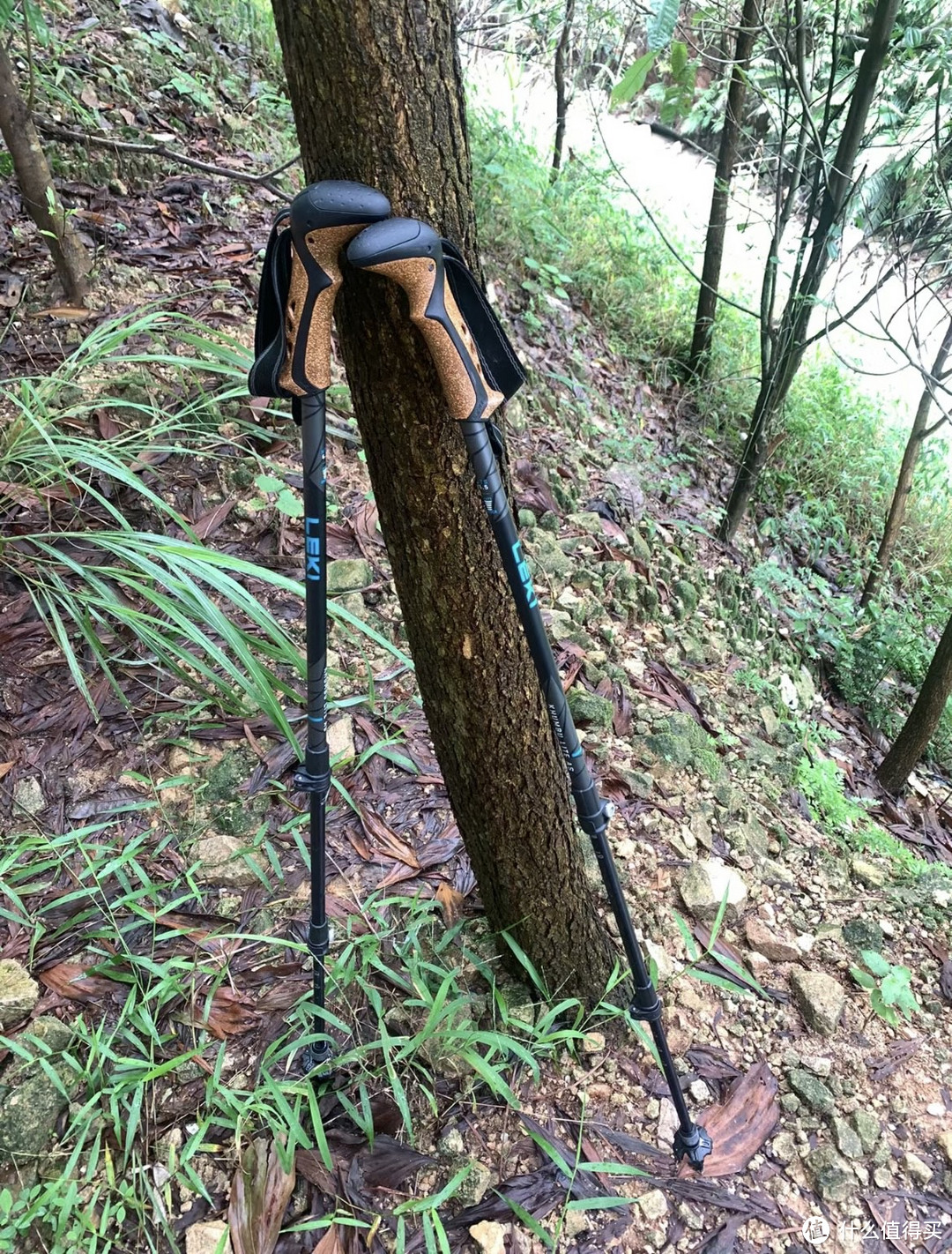 徒步1年多，不建议小白先买登山杖