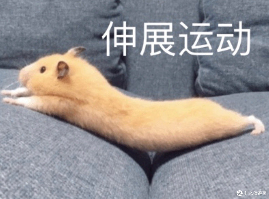 骑动感单车都有哪些好处和坏处？选购上要如何挑选？