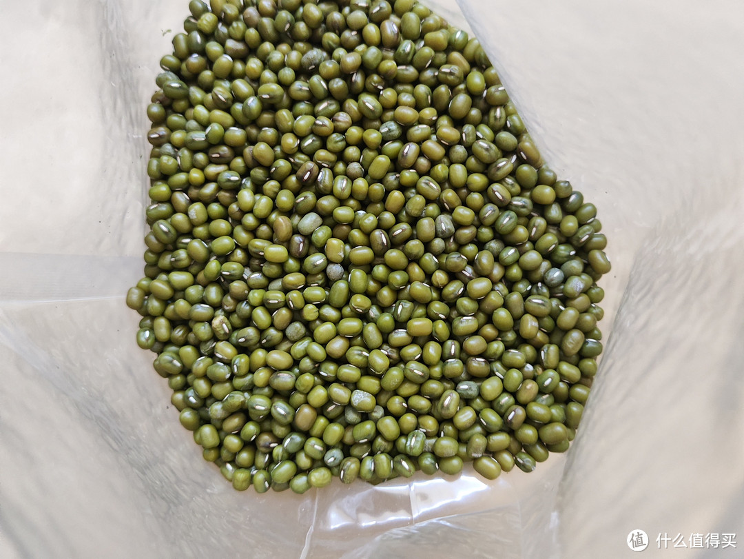 十月稻田绿豆，清凉解暑夏日必备！