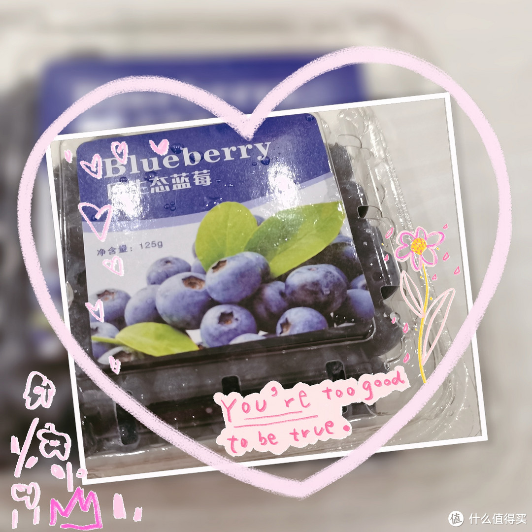 爱上蓝莓，爱上健康生活