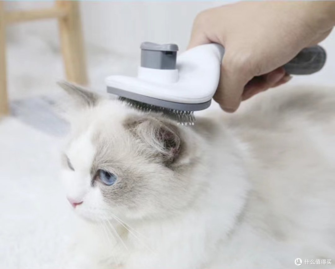 养猫人🙀千万不要小看这个东西!