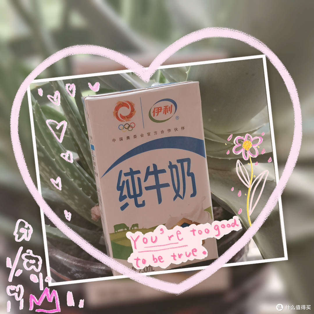 科学减脂,从每天一盒纯牛奶开始