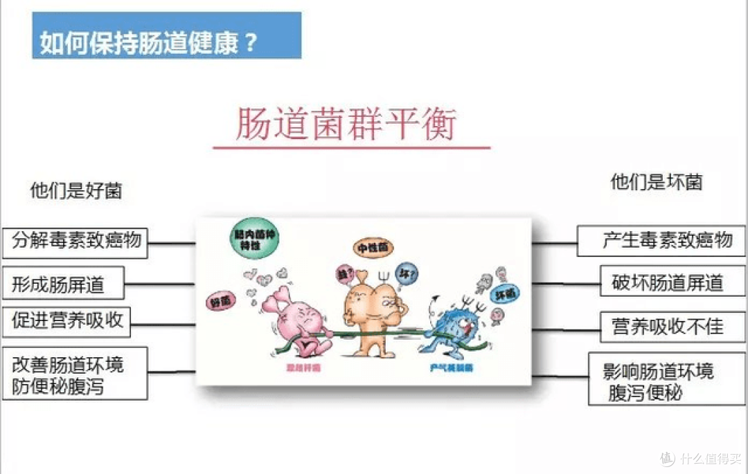 为什么少吃多动还是瘦不下来?揭秘9个减肥冷知识!