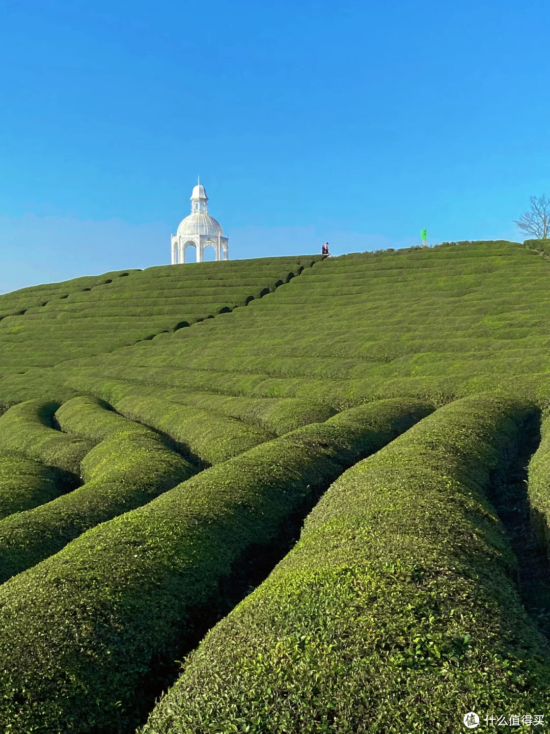 小众舒服，一去就会爱上的旅游地推荐