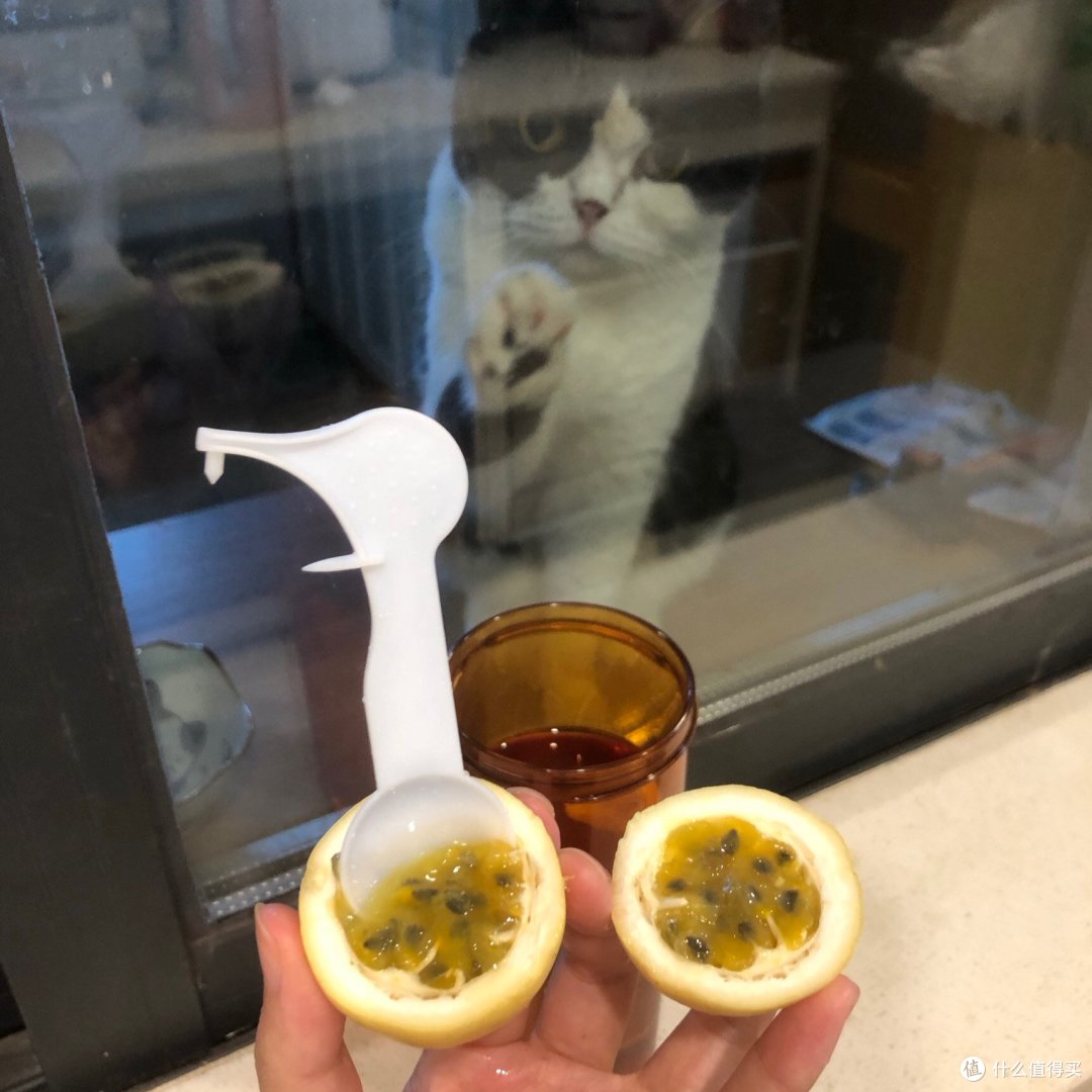 夏天停不下来的水果，黄金百香果来报到！