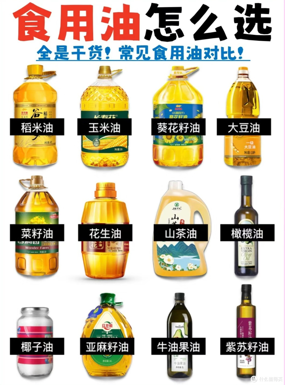 「家庭食用油」保姆级选择攻略！！