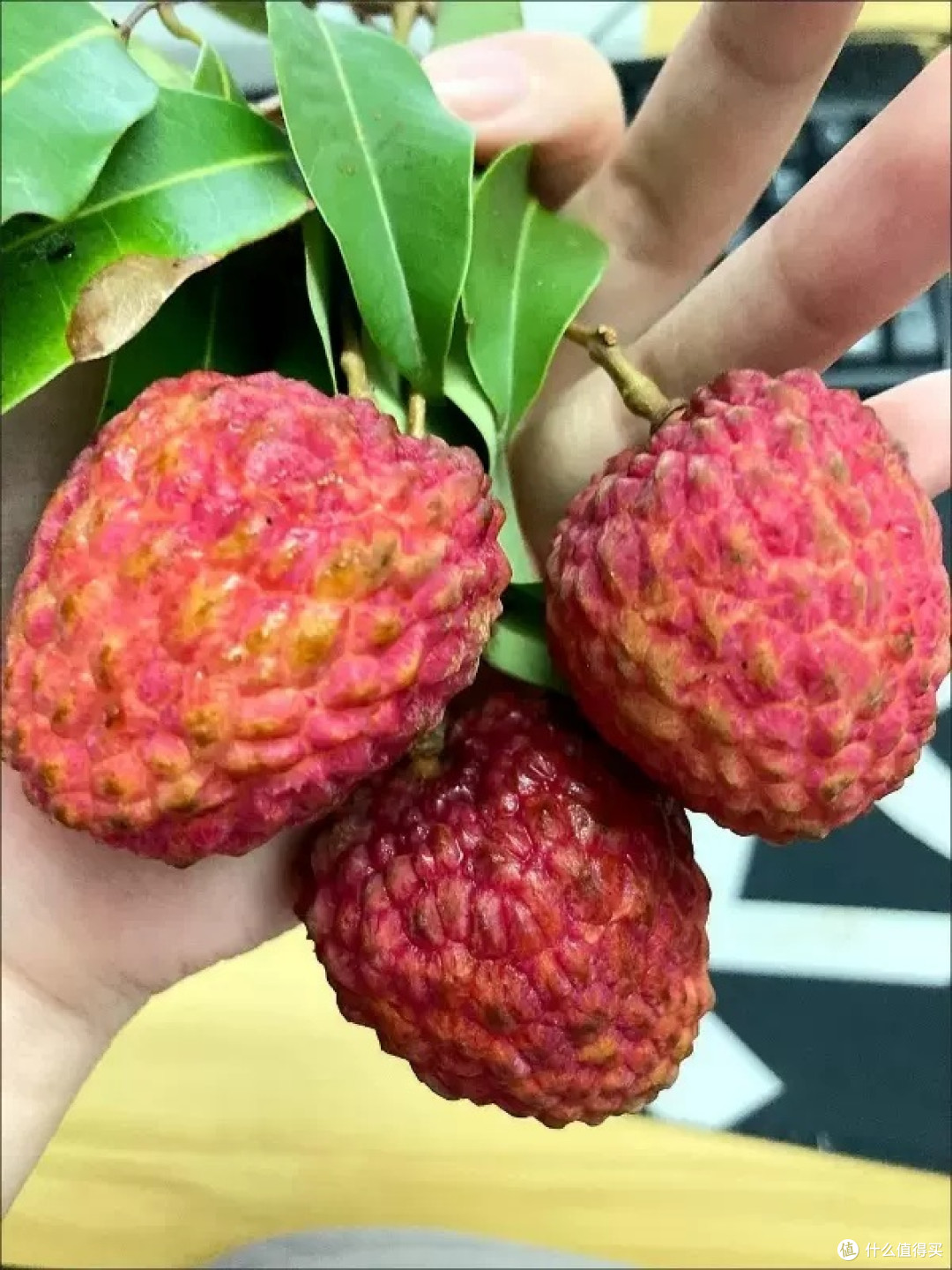 广东增城桂味荔枝:当季新鲜,直采直享