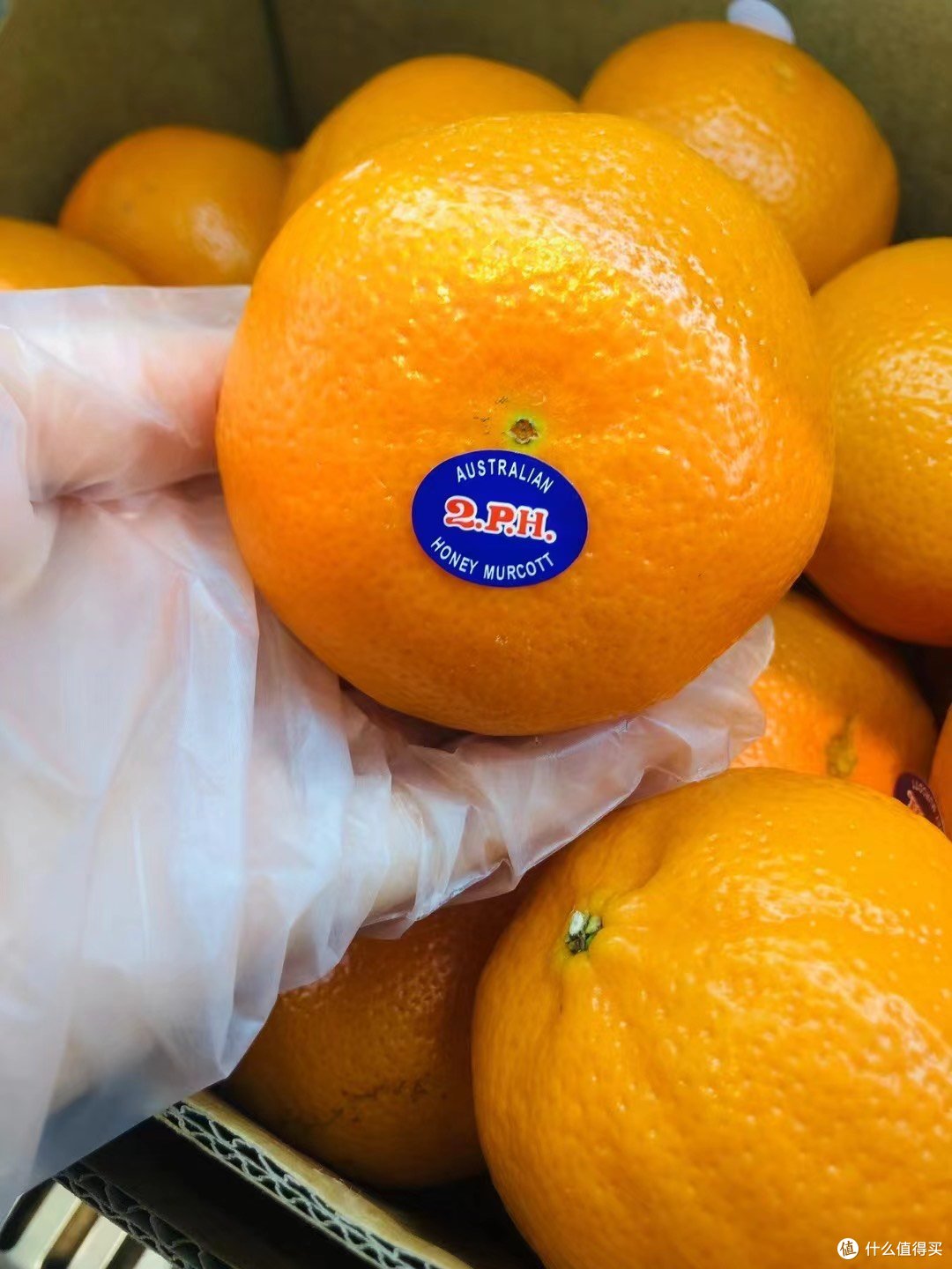 澳洲2ph桔当季新鲜上市甜嫩多汁