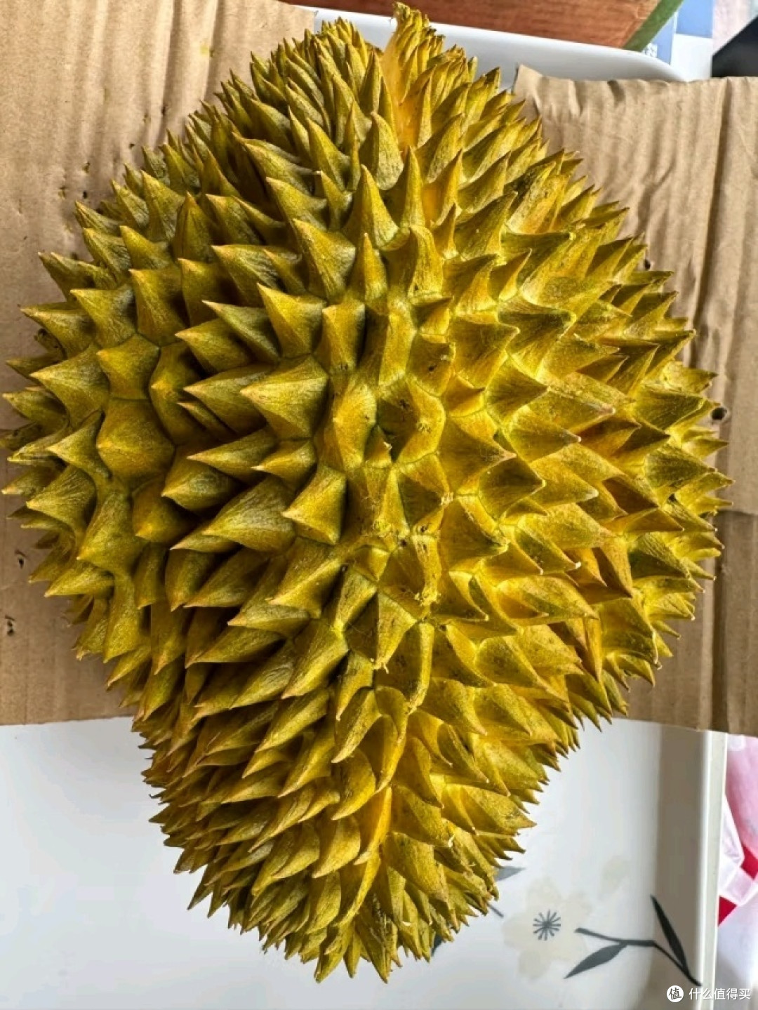 猫山王和金枕有啥区别?