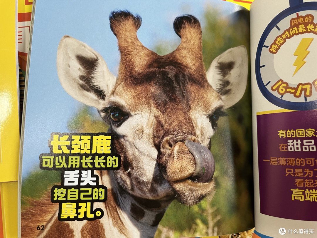 带孩子长见识！这套绘本打开发现世界的钥匙🔑