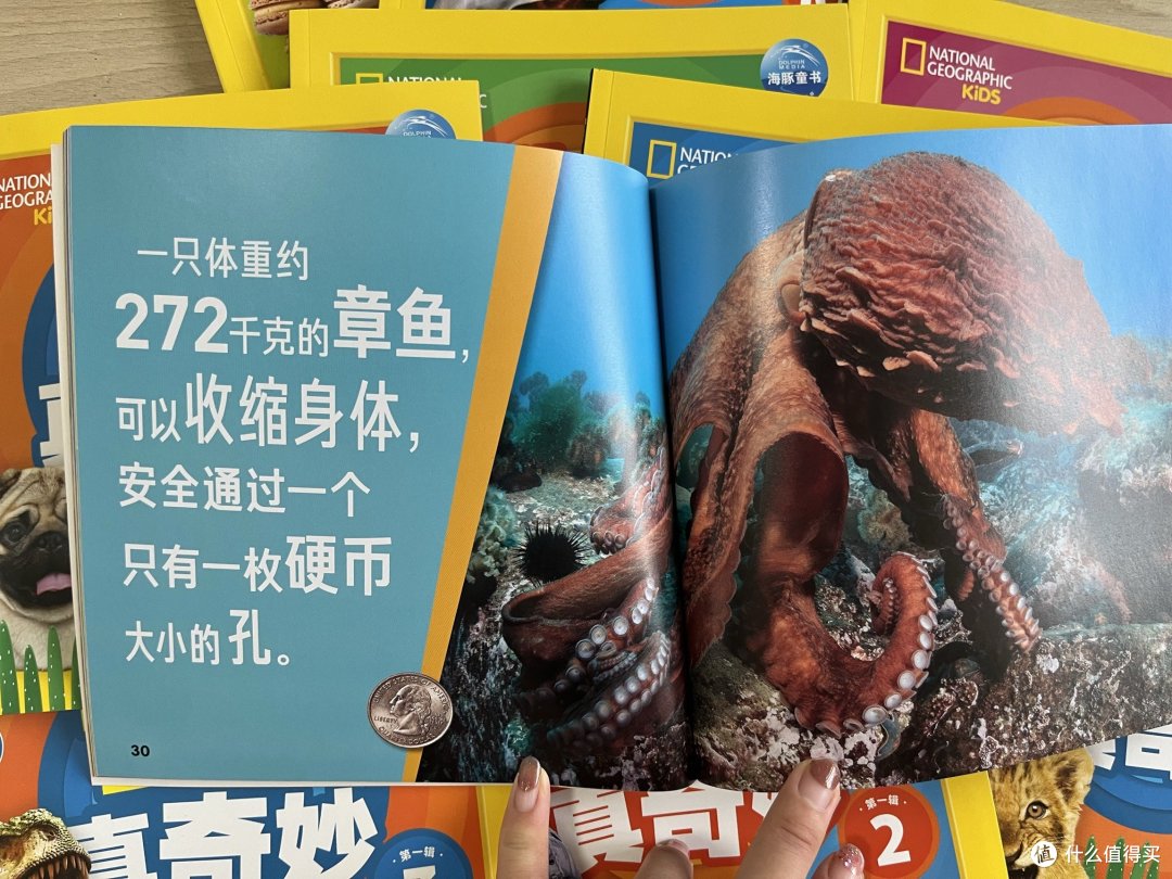 带孩子长见识！这套绘本打开发现世界的钥匙🔑