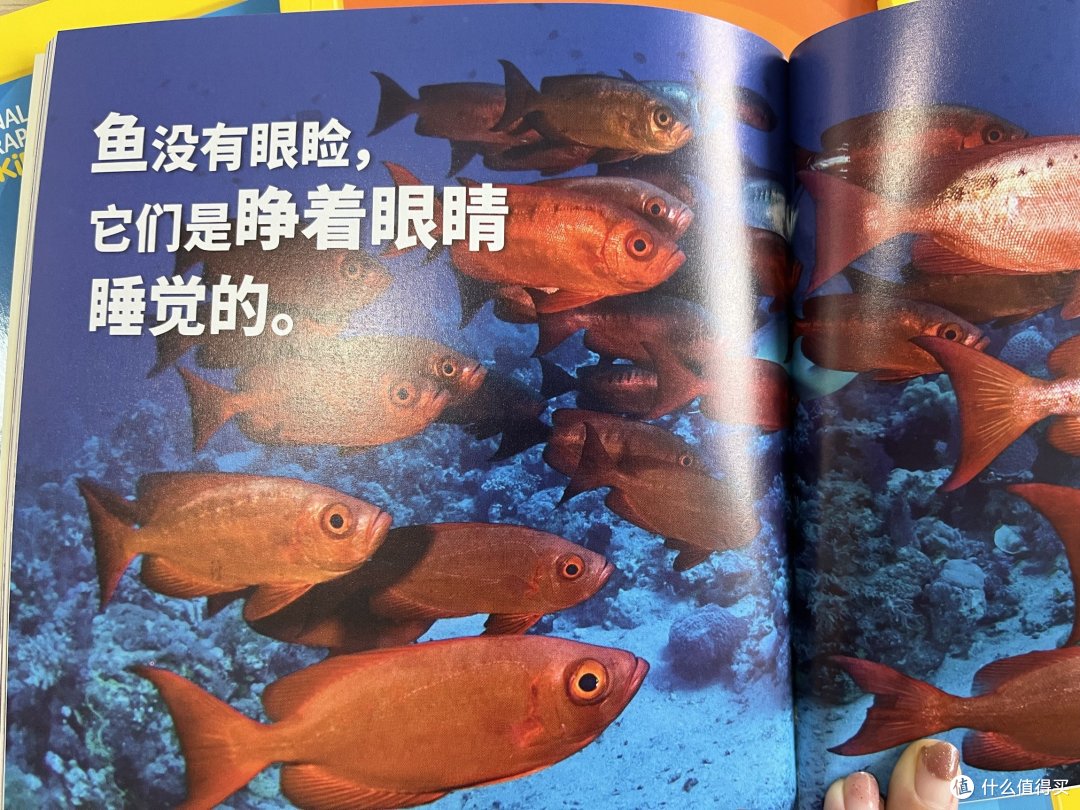 带孩子长见识！这套绘本打开发现世界的钥匙🔑