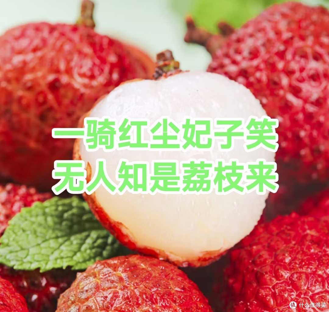 一骑红尘妃子笑,无人知是荔枝来