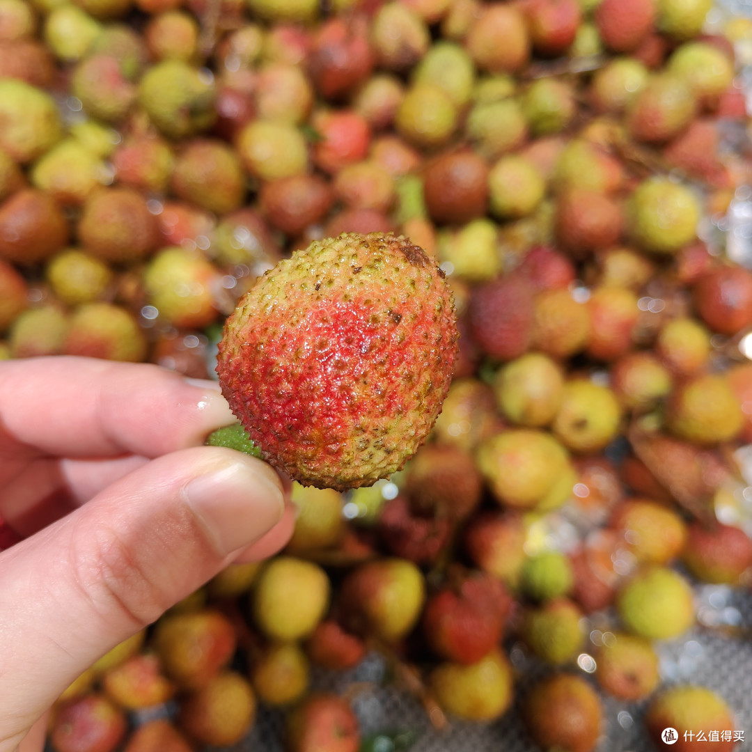 吃货必备!荔枝界的五大品种你吃过吗?