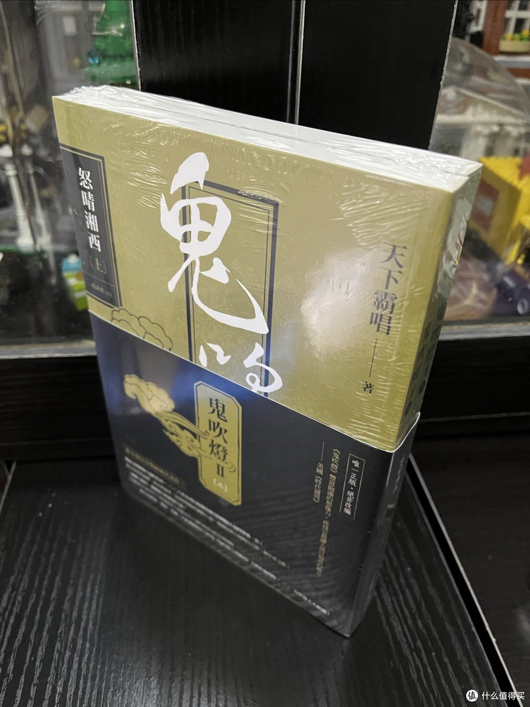 终于还是对这套网文下手了,鬼吹灯之怒晴湘西