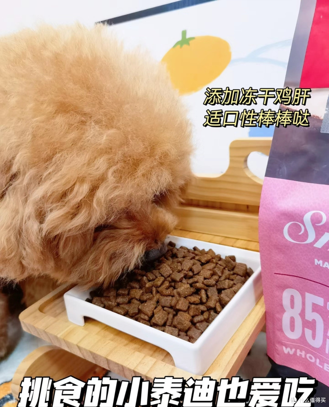 Orijen渴望小型成犬鸡肉味狗粮4.5kg