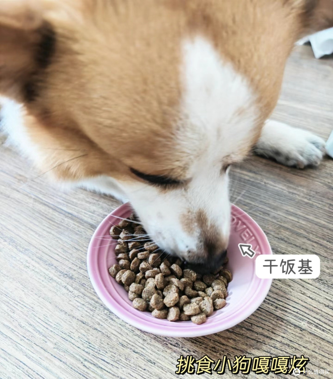 INSTINCT天然百利经典无谷鸡肉全犬粮4磅
