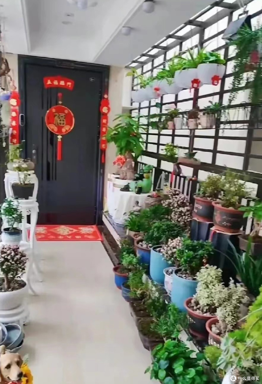 遇上这种“中国好邻居”,生活过得那叫一个无语,晒给大家看看!