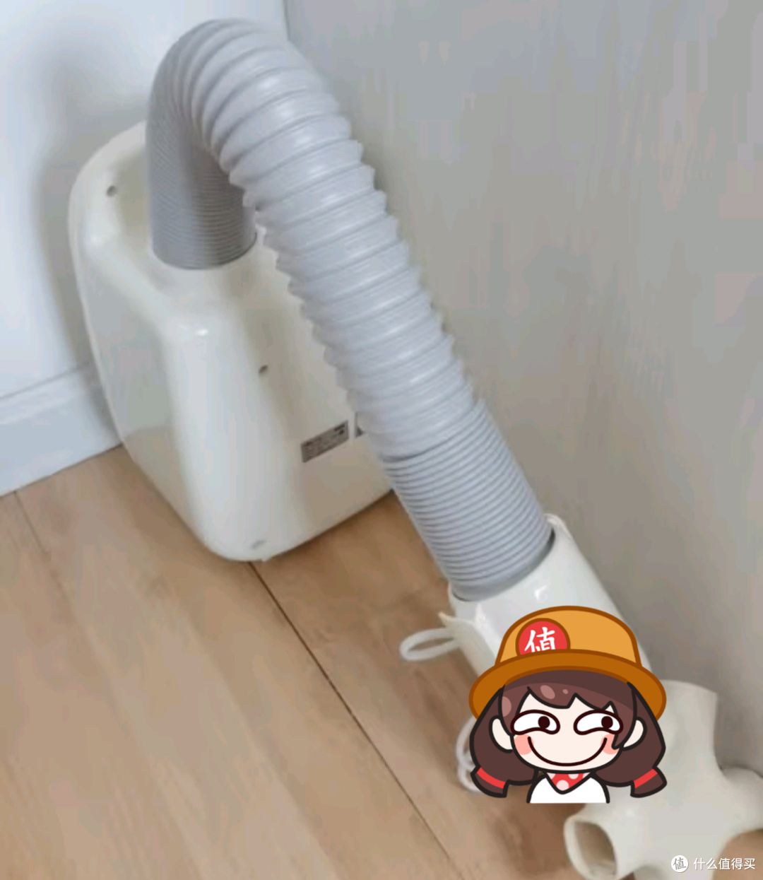 祛湿除螨更在行!