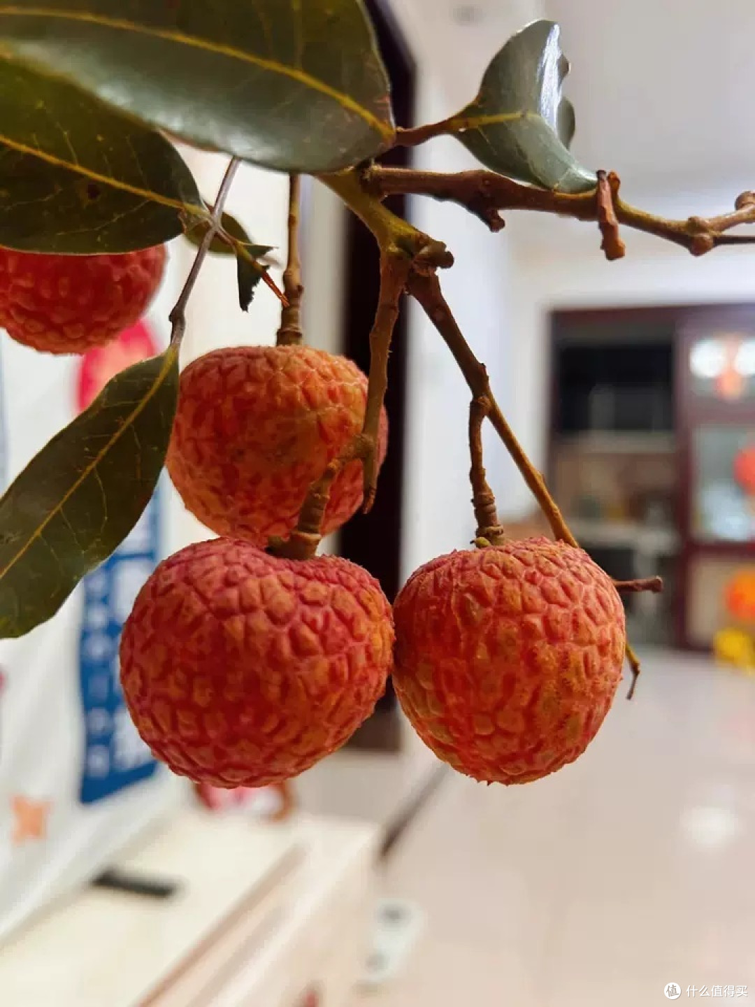 邂逅当季鲜甜，妃子笑荔枝的味蕾之旅