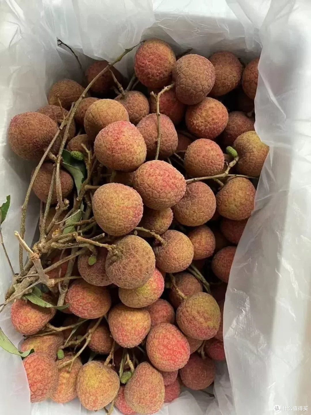 邂逅当季鲜甜，妃子笑荔枝的味蕾之旅