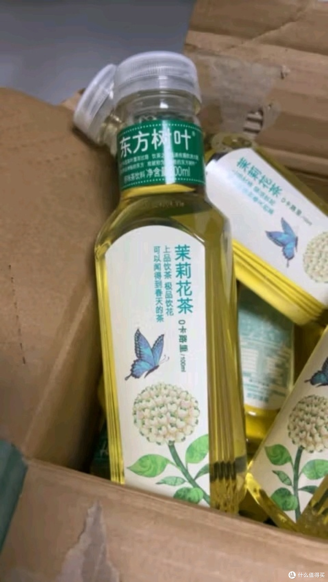 神奇的东方树叶 夏天好茶饮!