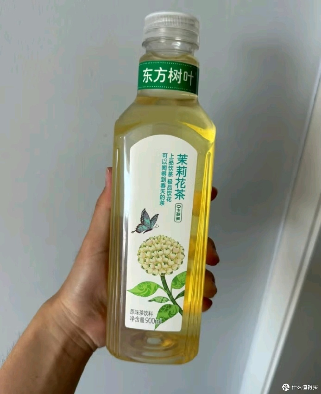 神奇的东方树叶 夏天好茶饮!