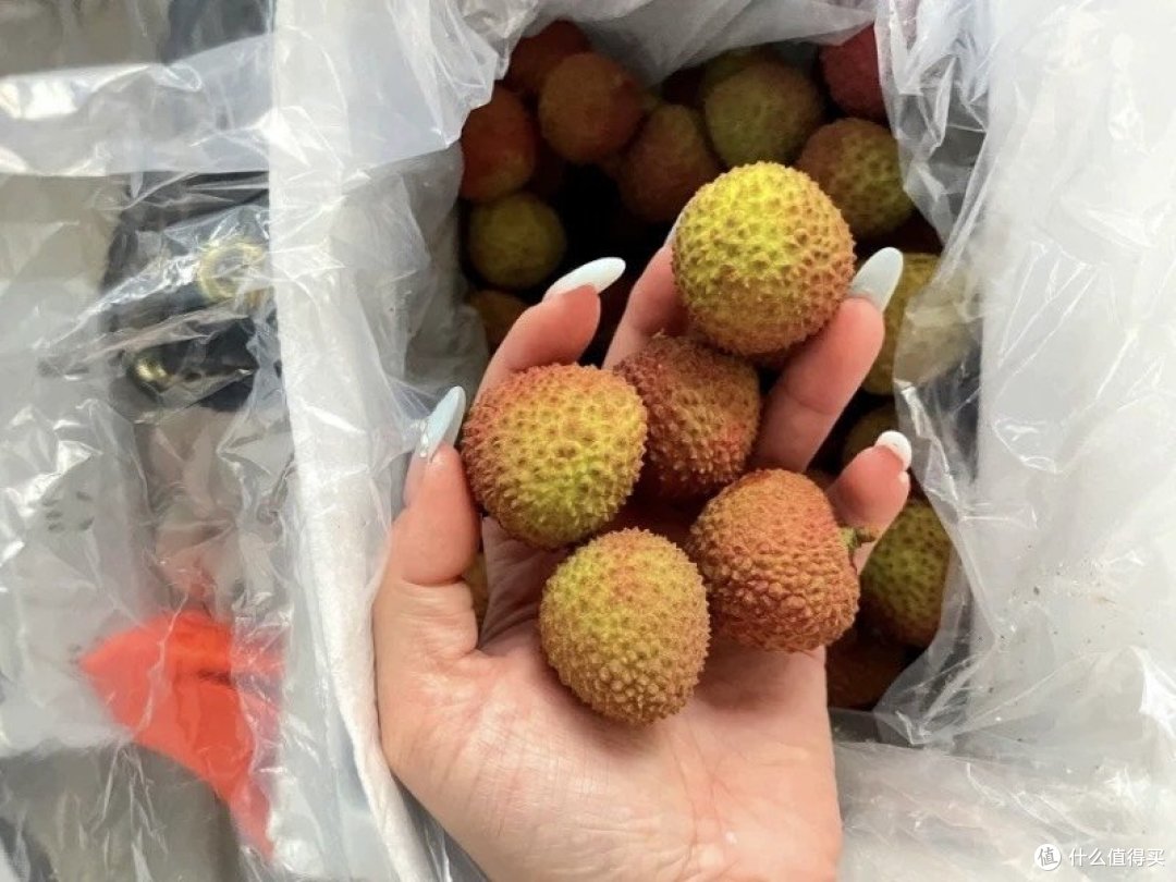 妃子笑荔枝:千古佳话中的甜蜜传奇