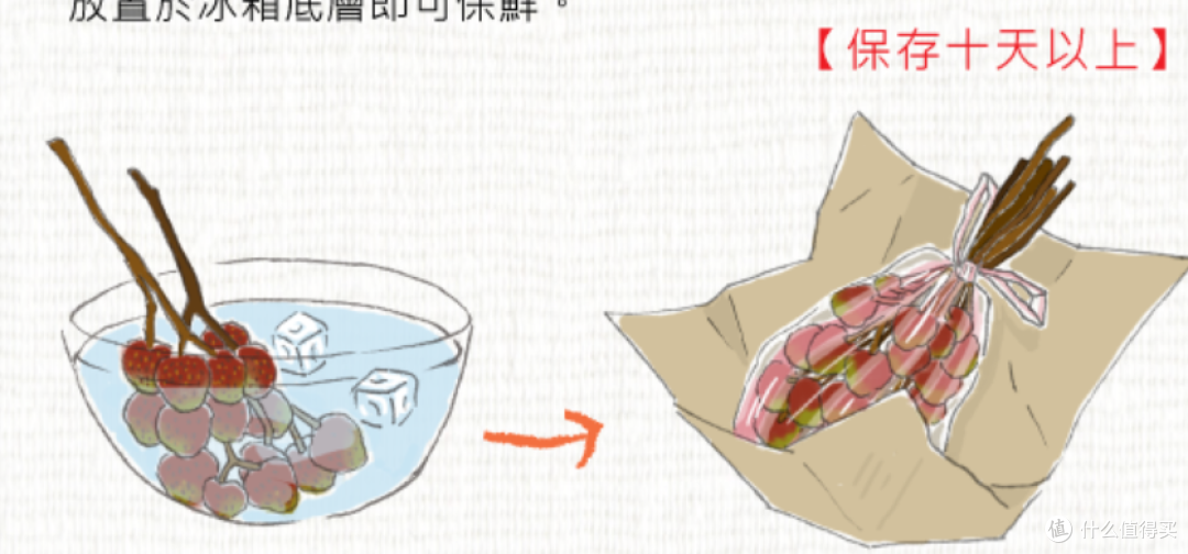 荔枝好吃-如何才能长期保存
