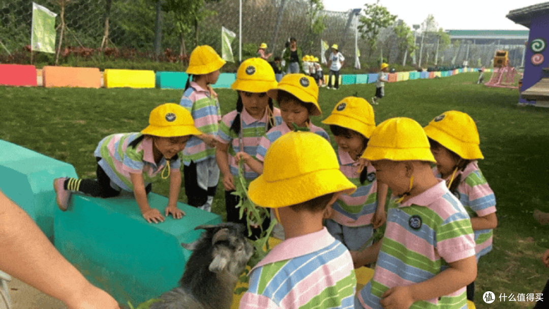 夏日童话,山边村夏令营——编织一场向往的生活