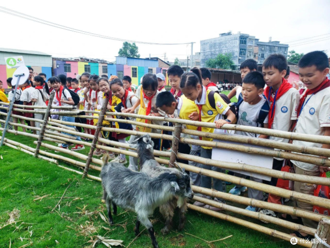 夏日童话,山边村夏令营——编织一场向往的生活