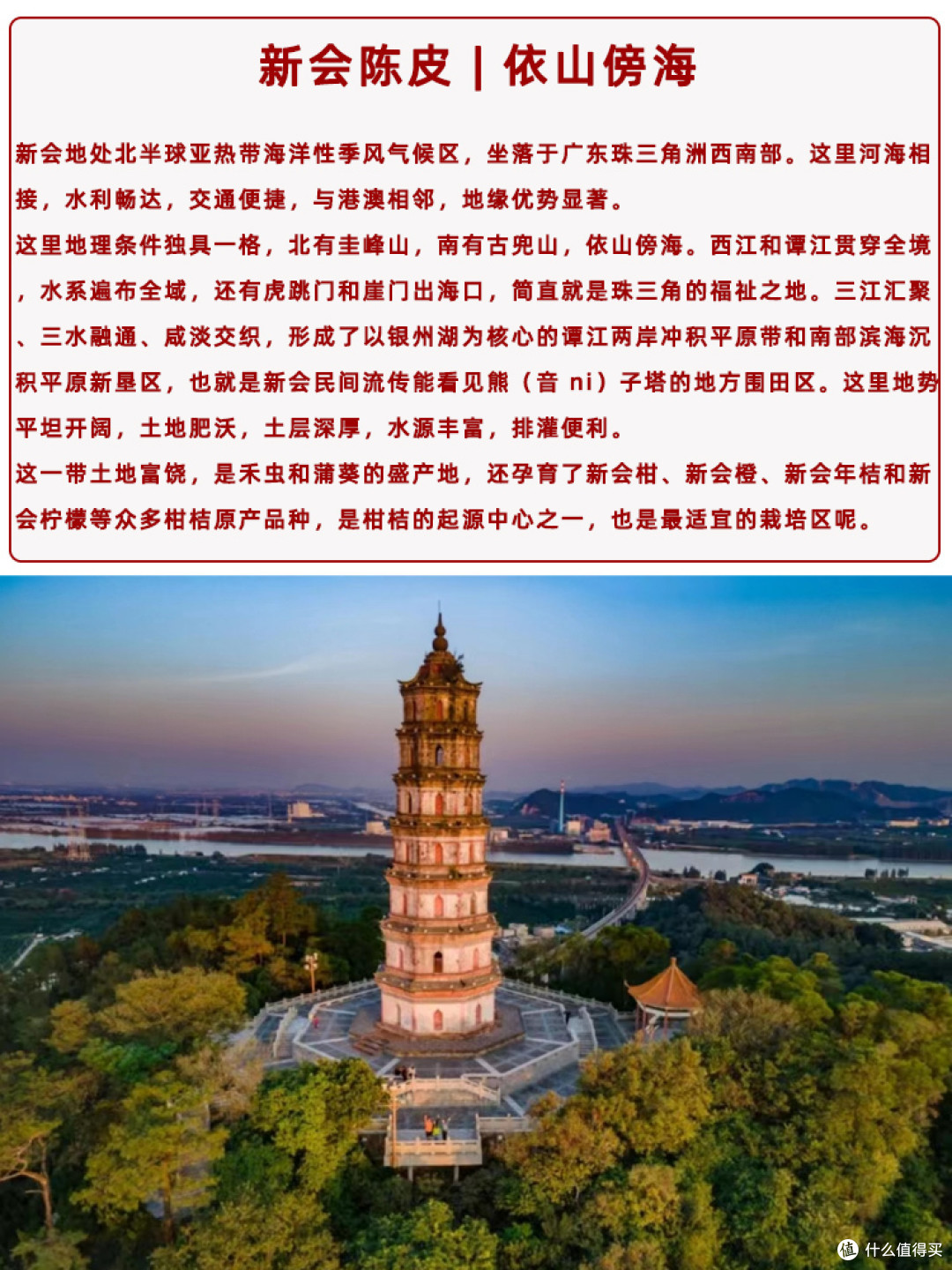 🌍新会陈皮 | 源自得天独厚的地理宝藏🌍