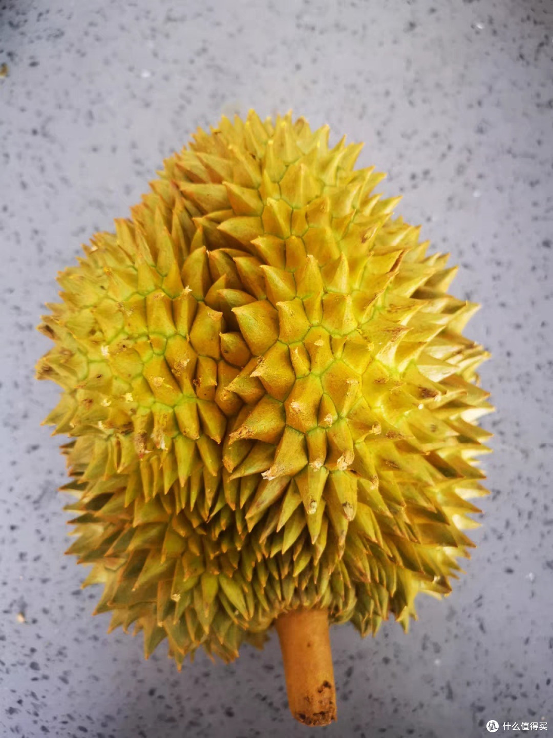 榴莲控必备！关于你最爱吃的榴莲