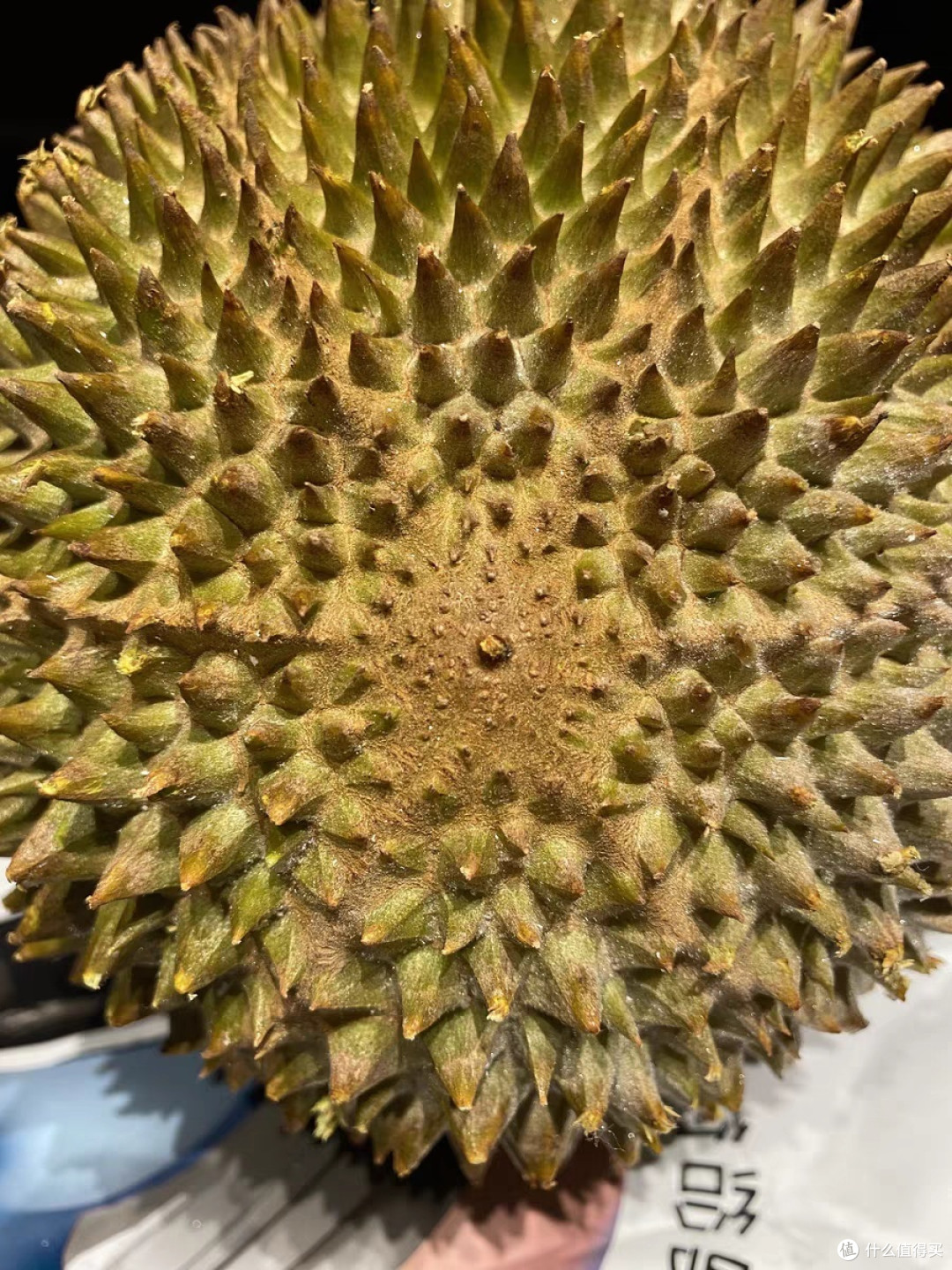 榴莲控必备！关于你最爱吃的榴莲