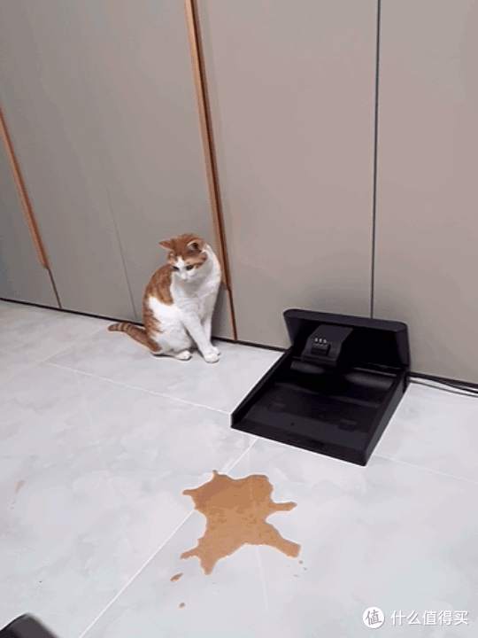 618洗地机黑马友望推入式到底好用么？友望（uwant）、美的、顺造洗地机哪个牌子好？