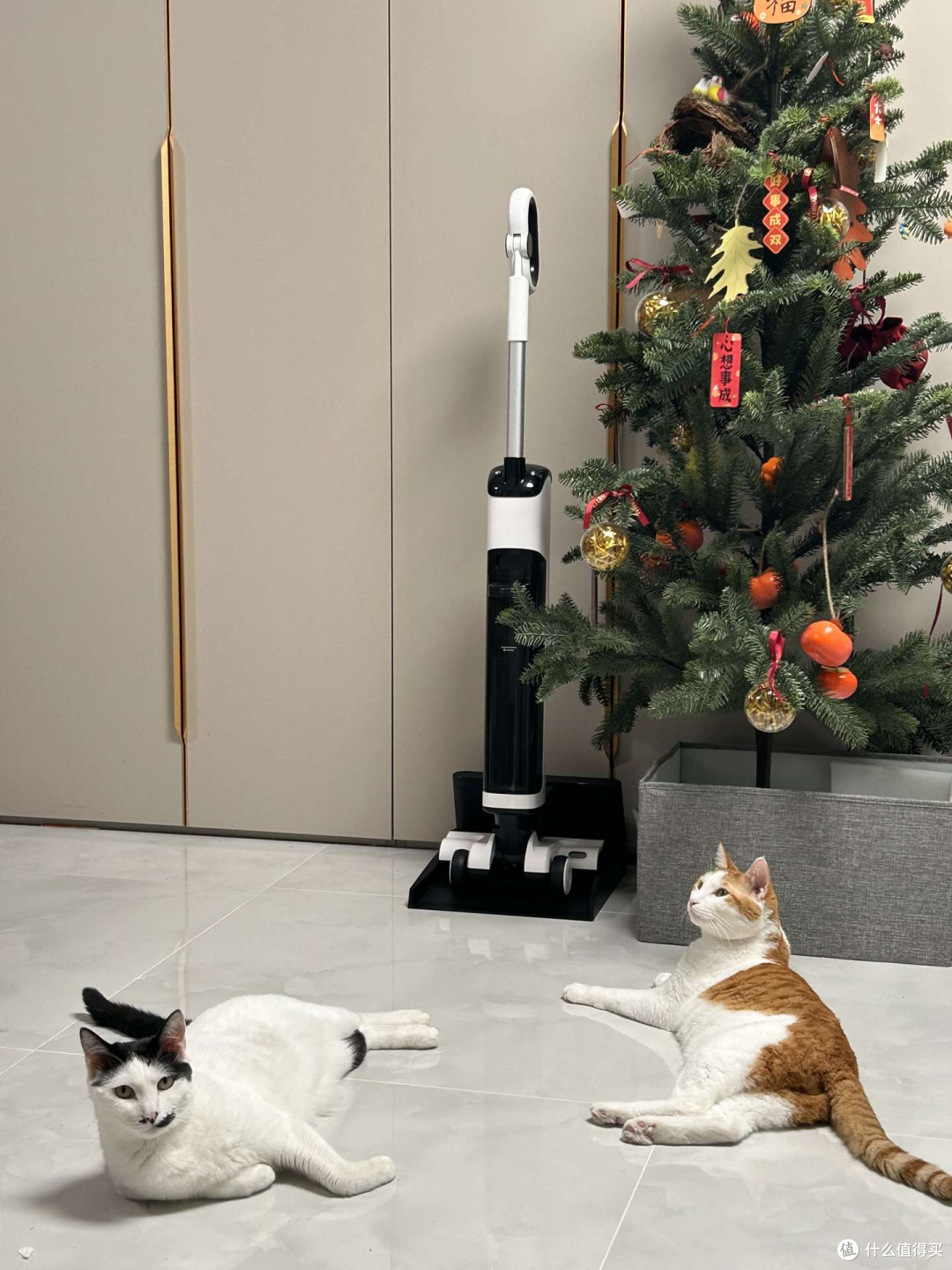 618洗地机黑马友望推入式到底好用么？友望（uwant）、美的、顺造洗地机哪个牌子好？