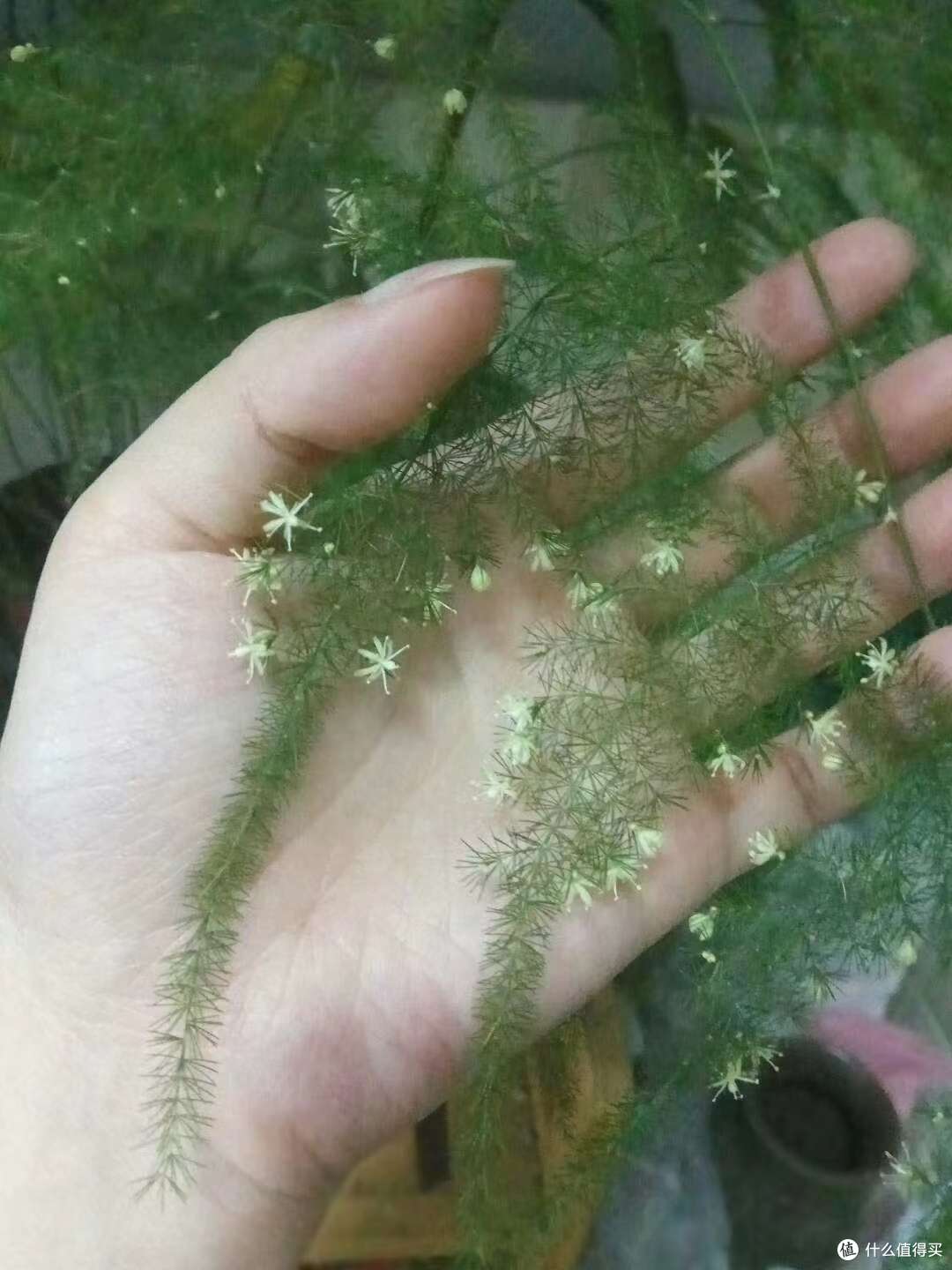 朋友圈里翻了好久才找到的