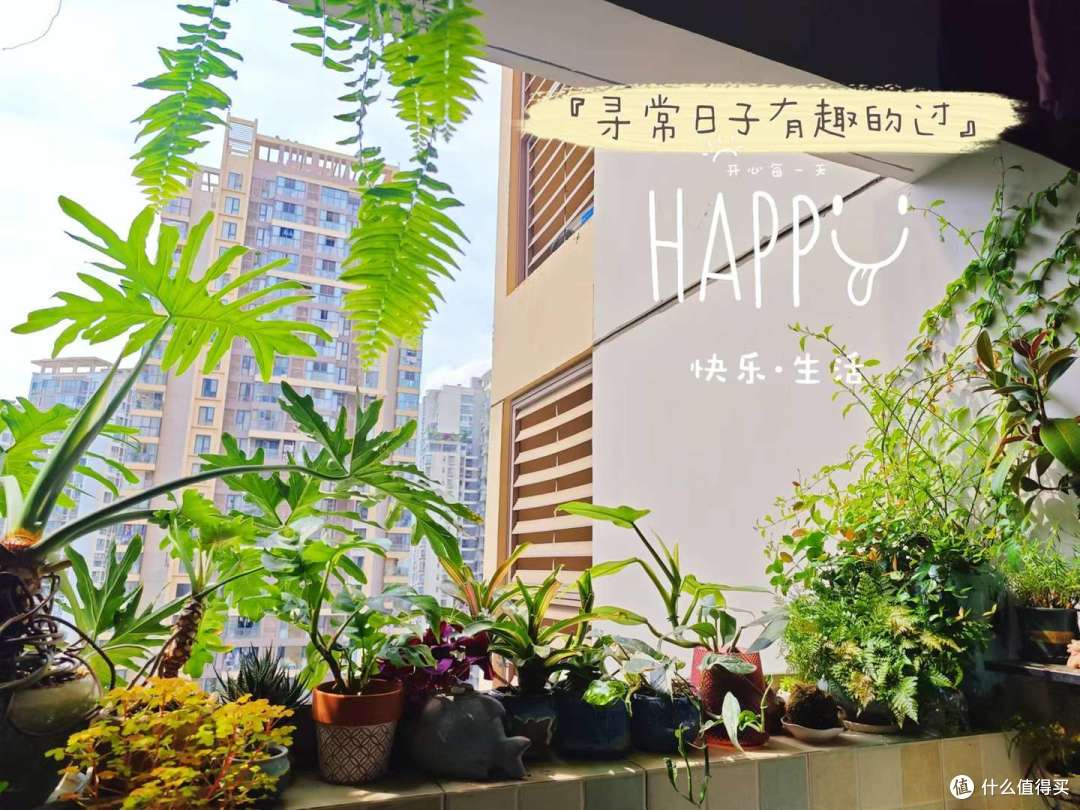 一个月以后（左上角）
