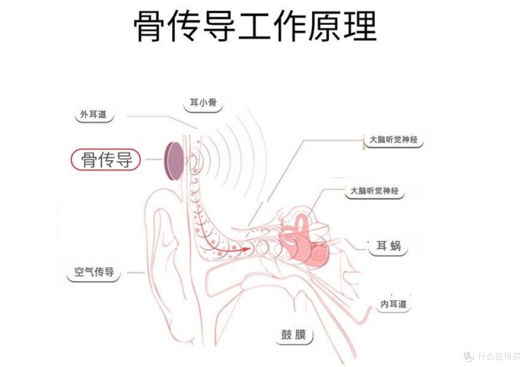 2024年游泳骨传导运动耳机天花板，南卡Runner Pro 5千元骨传导耳机实测，全能的运动搭子已上线！