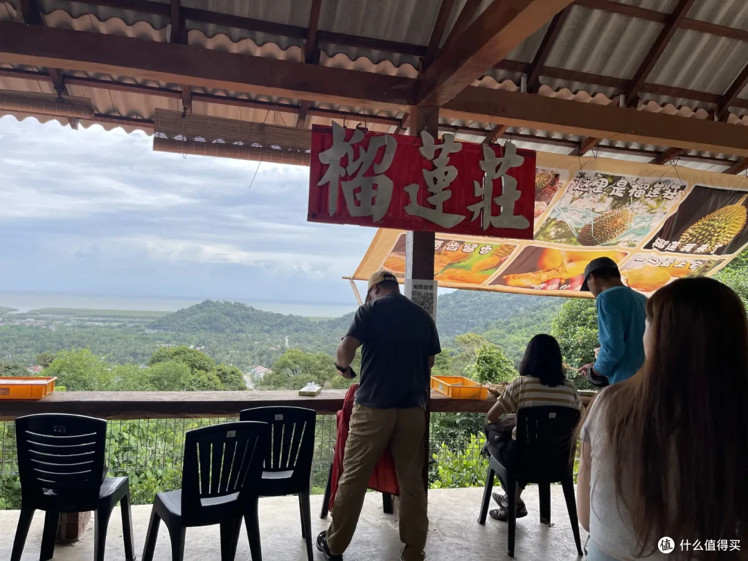 从马来西亚回来,盘点那些吃榴莲的好档口(可收藏备用)