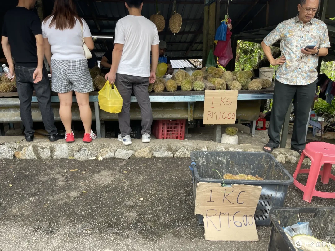 从马来西亚回来,盘点那些吃榴莲的好档口(可收藏备用)