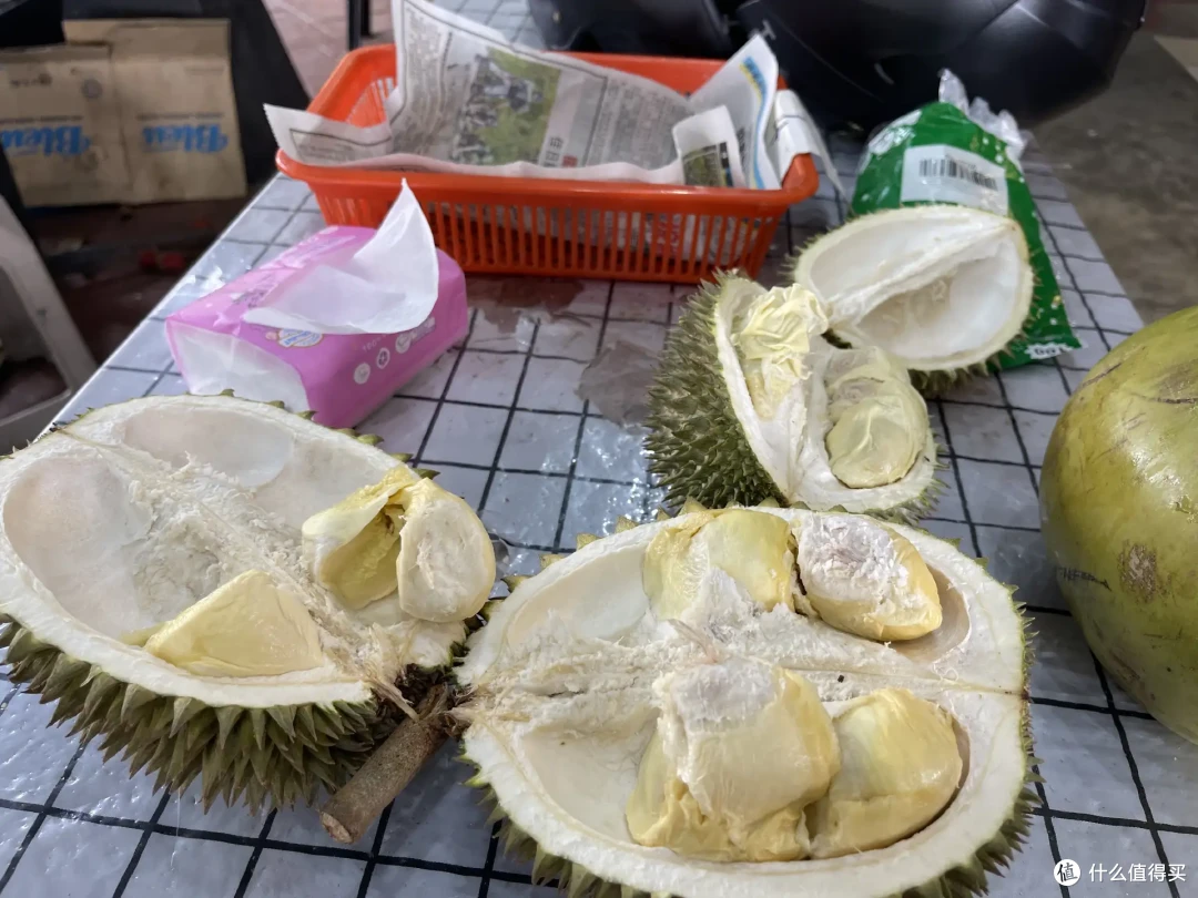 从马来西亚回来,盘点那些吃榴莲的好档口(可收藏备用)