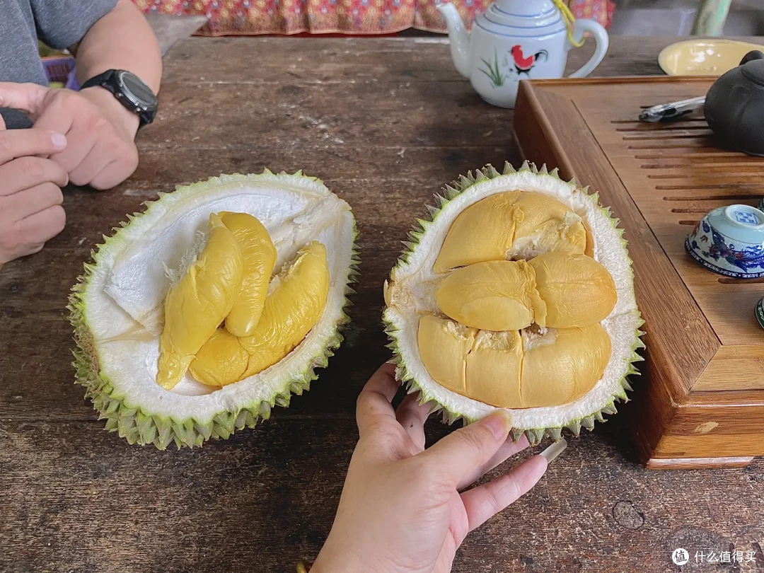 从马来西亚回来,盘点那些吃榴莲的好档口(可收藏备用)