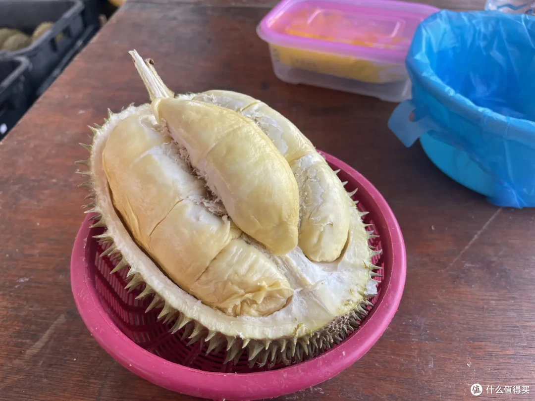 从马来西亚回来,盘点那些吃榴莲的好档口(可收藏备用)