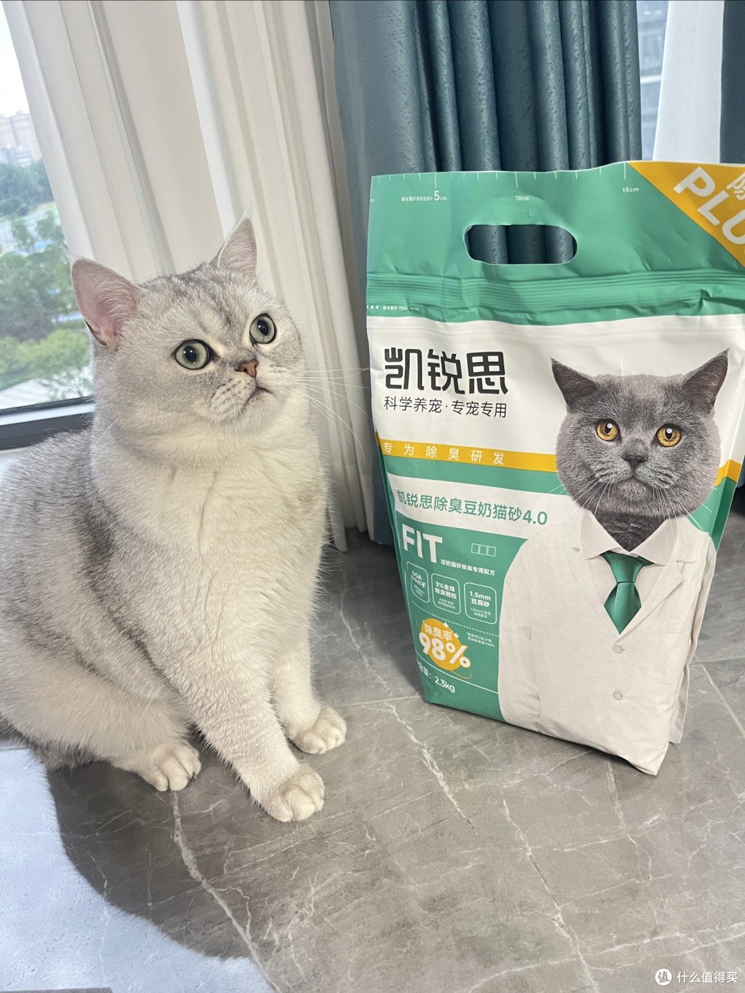 小馒头必备单品~猫砂